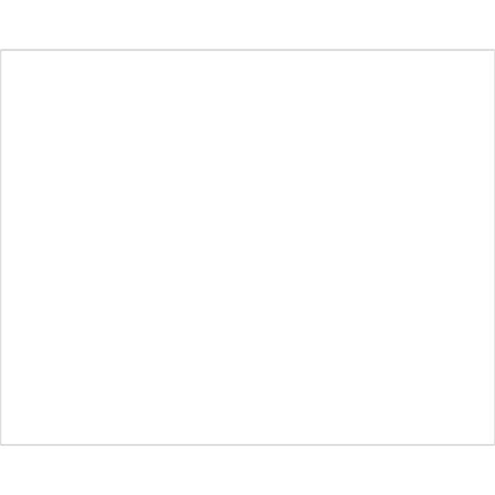 Bondad 8 x 10 in. - White Block Out Labels, White - Roll of 250 BO2833479